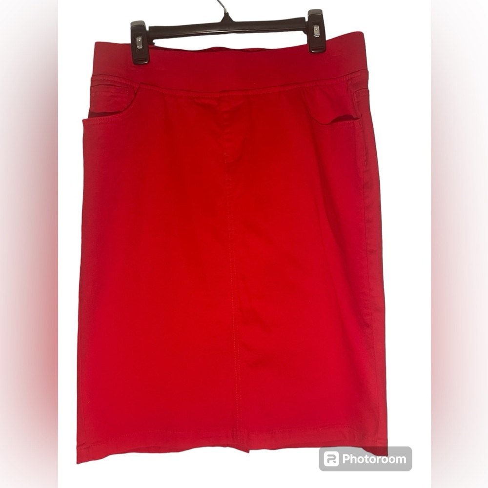 Be-Girl Women’s Large knee length skirt NWOT